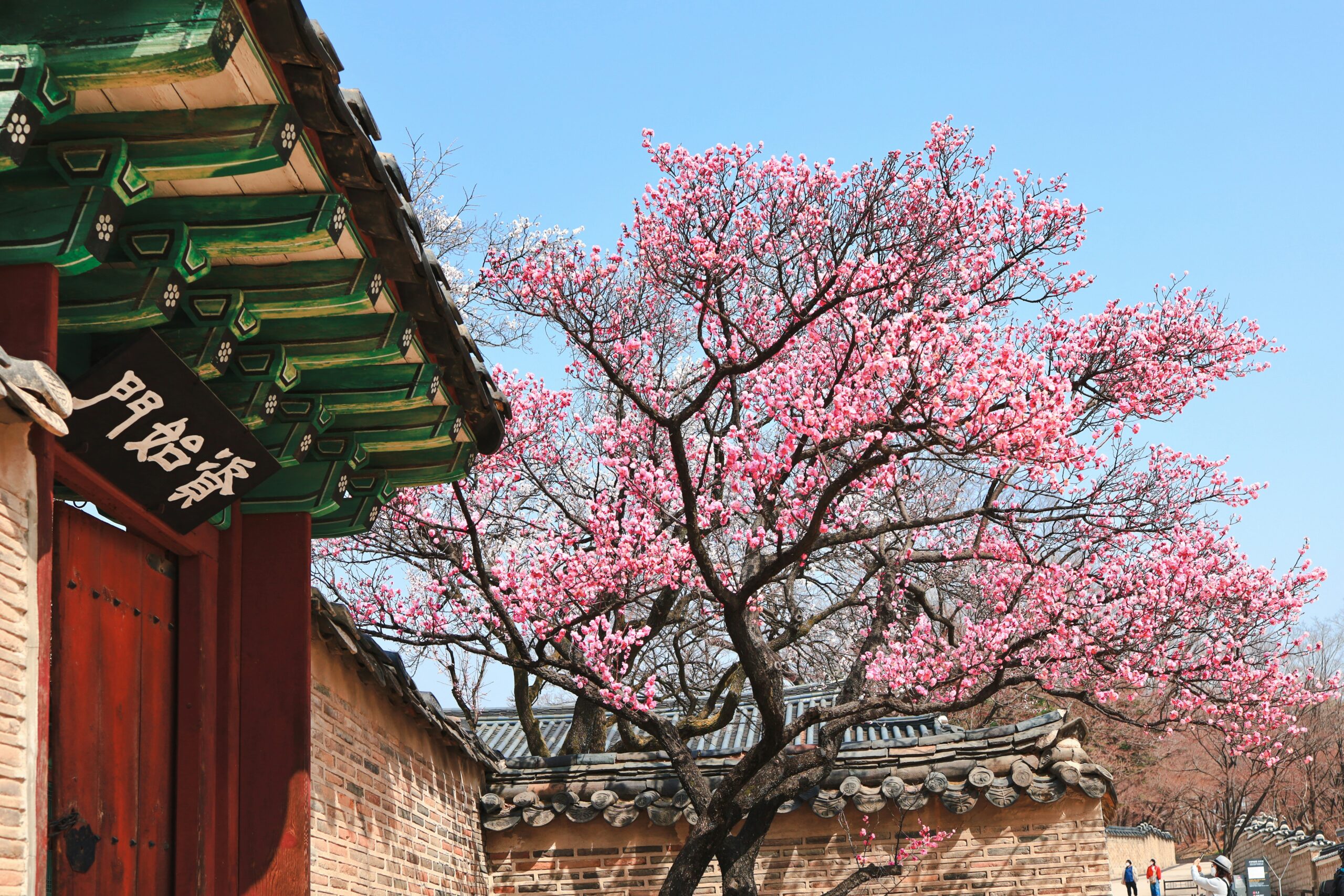 viaggio in corea del sud fai da te