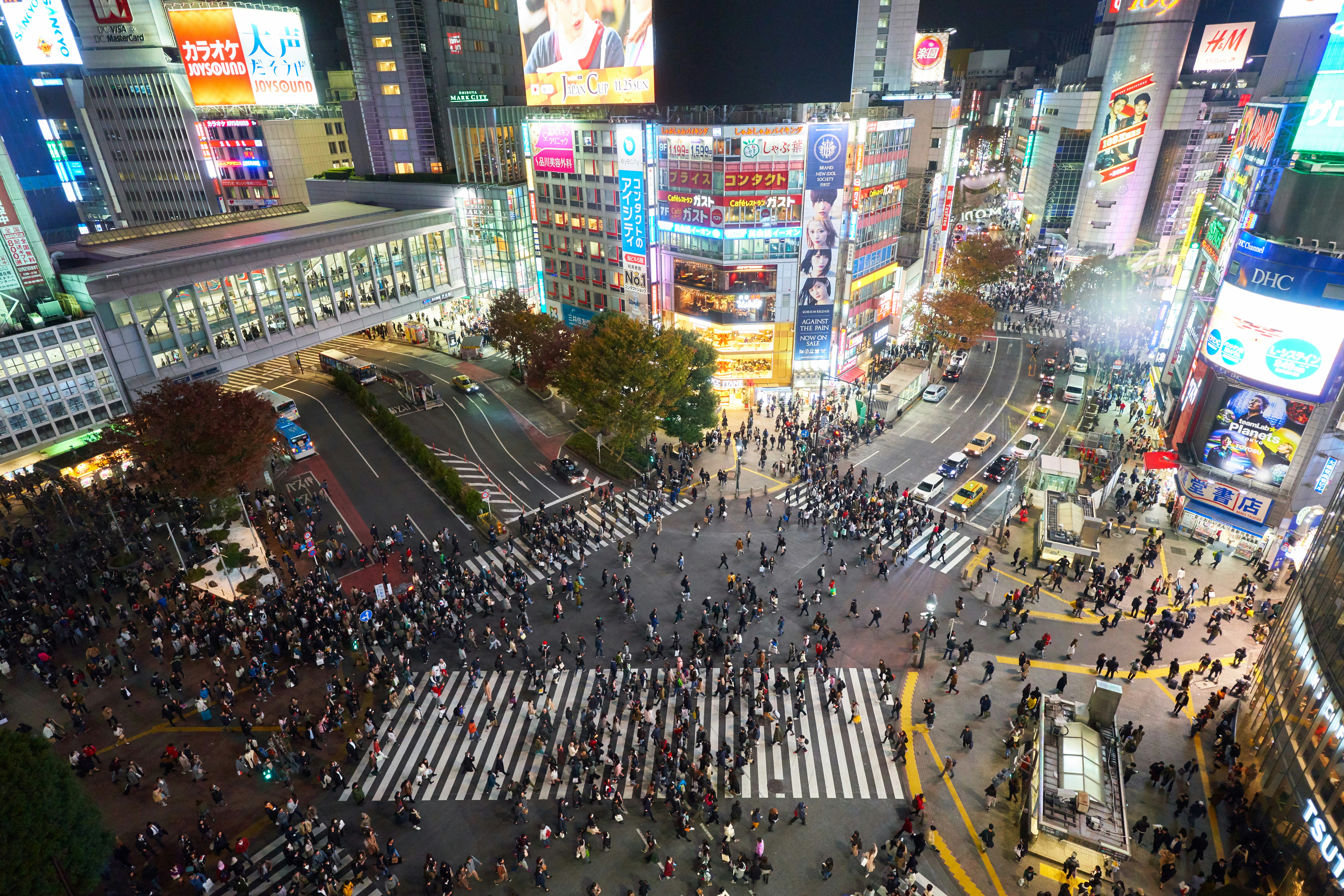 cosa fare e vedere a tokyo