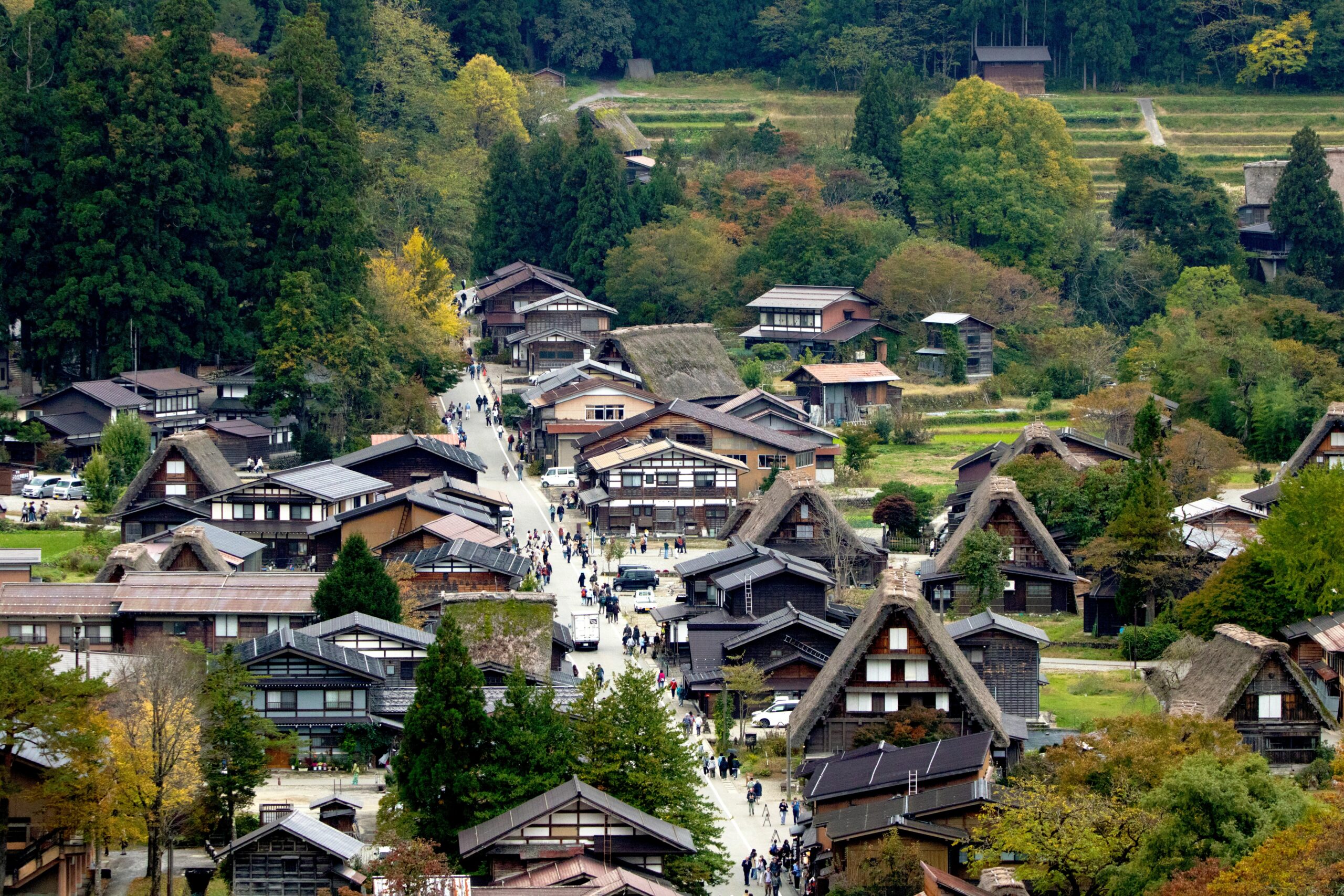 cosa vedere a shirakawa-go e takayama