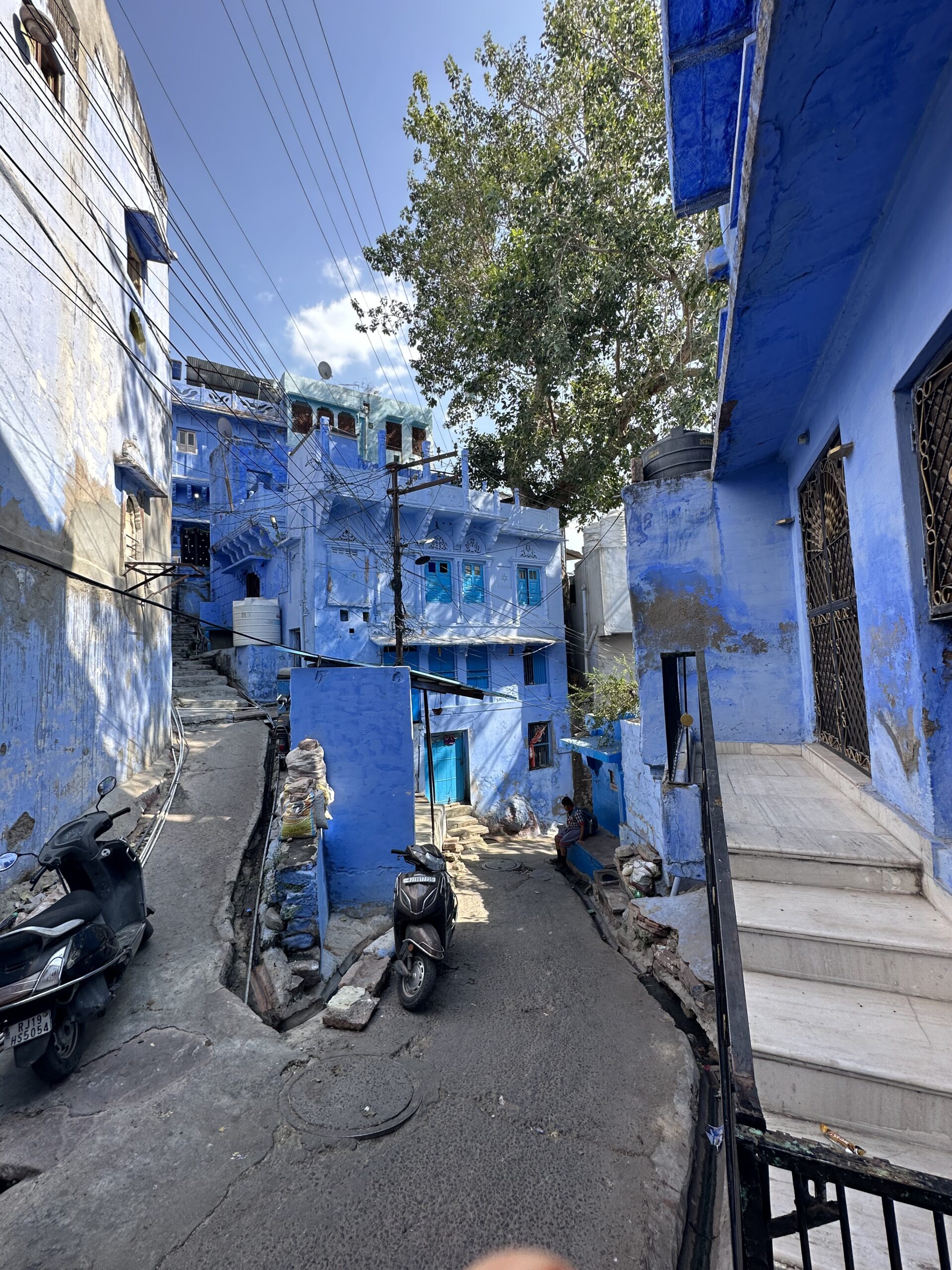 cosa fare e vedere in rajasthan