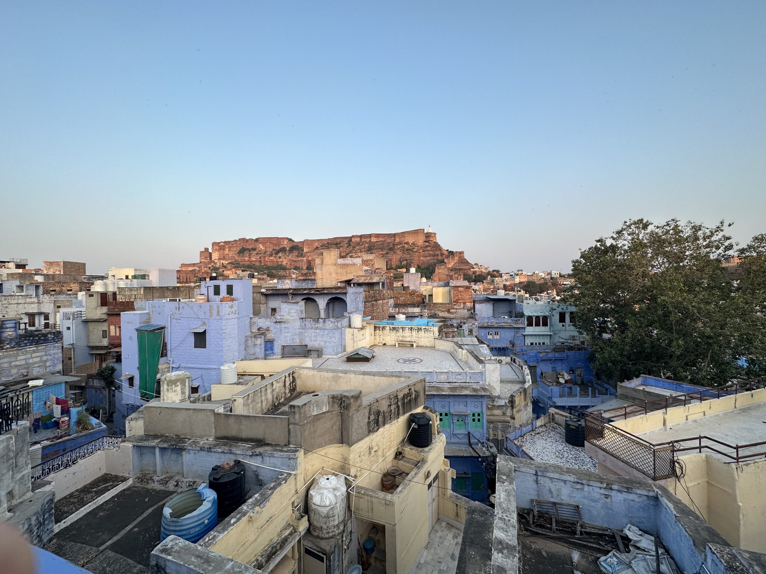 cosa fare e vedere in rajasthan