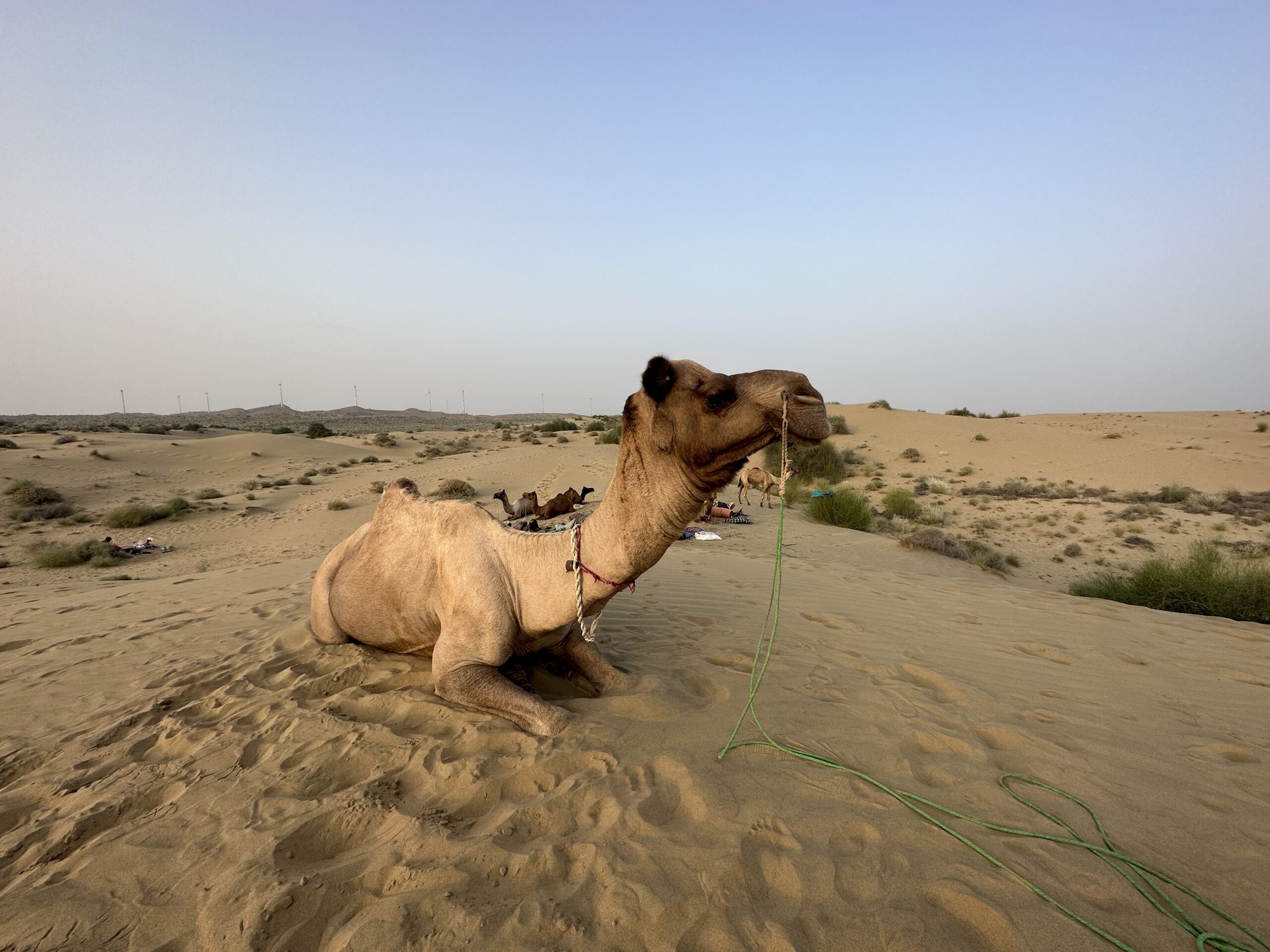cosa fare e vedere nel rajasthan