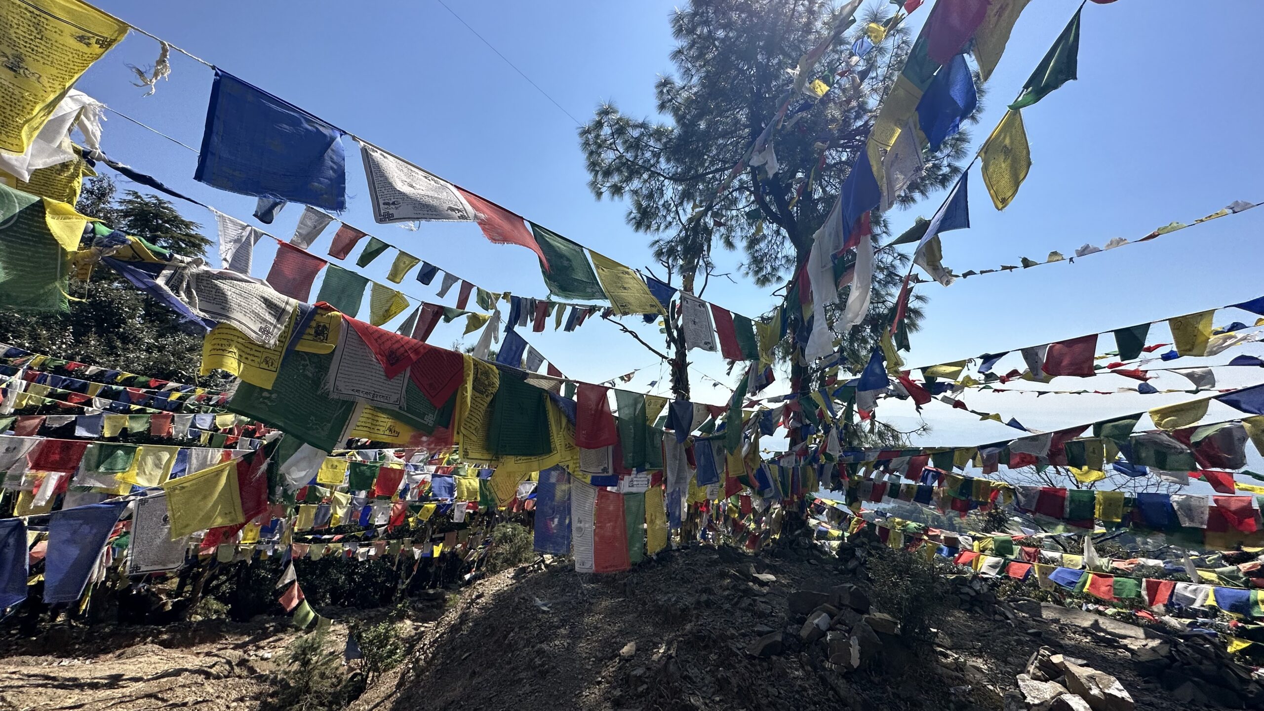 cosa fare e vedere in himachal pradesh