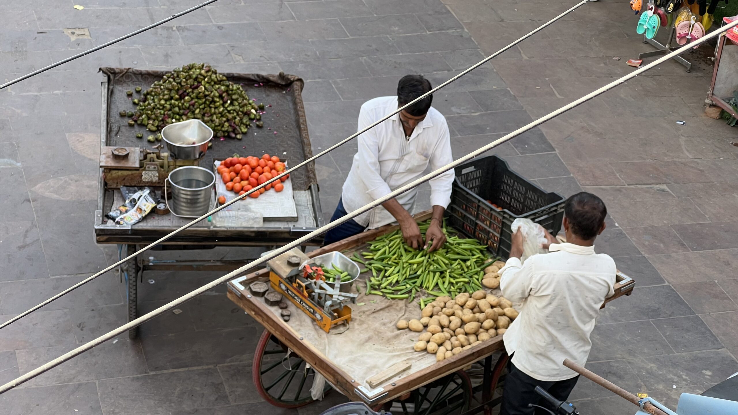 cosa fare e vedere in rajasthan