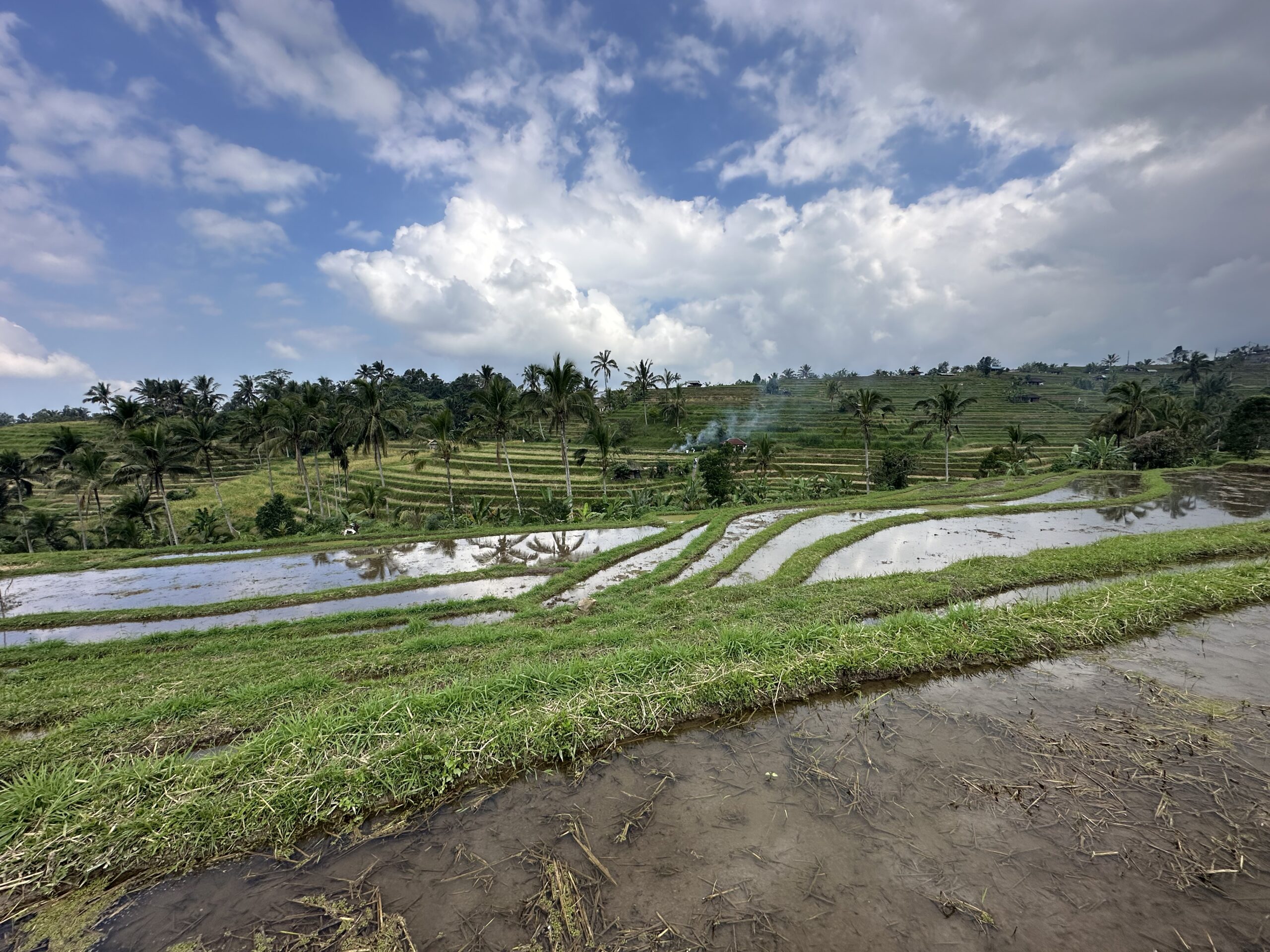 viaggio in indonesia