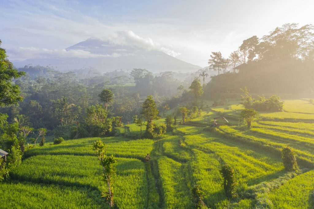 Cosa vedere a Bali