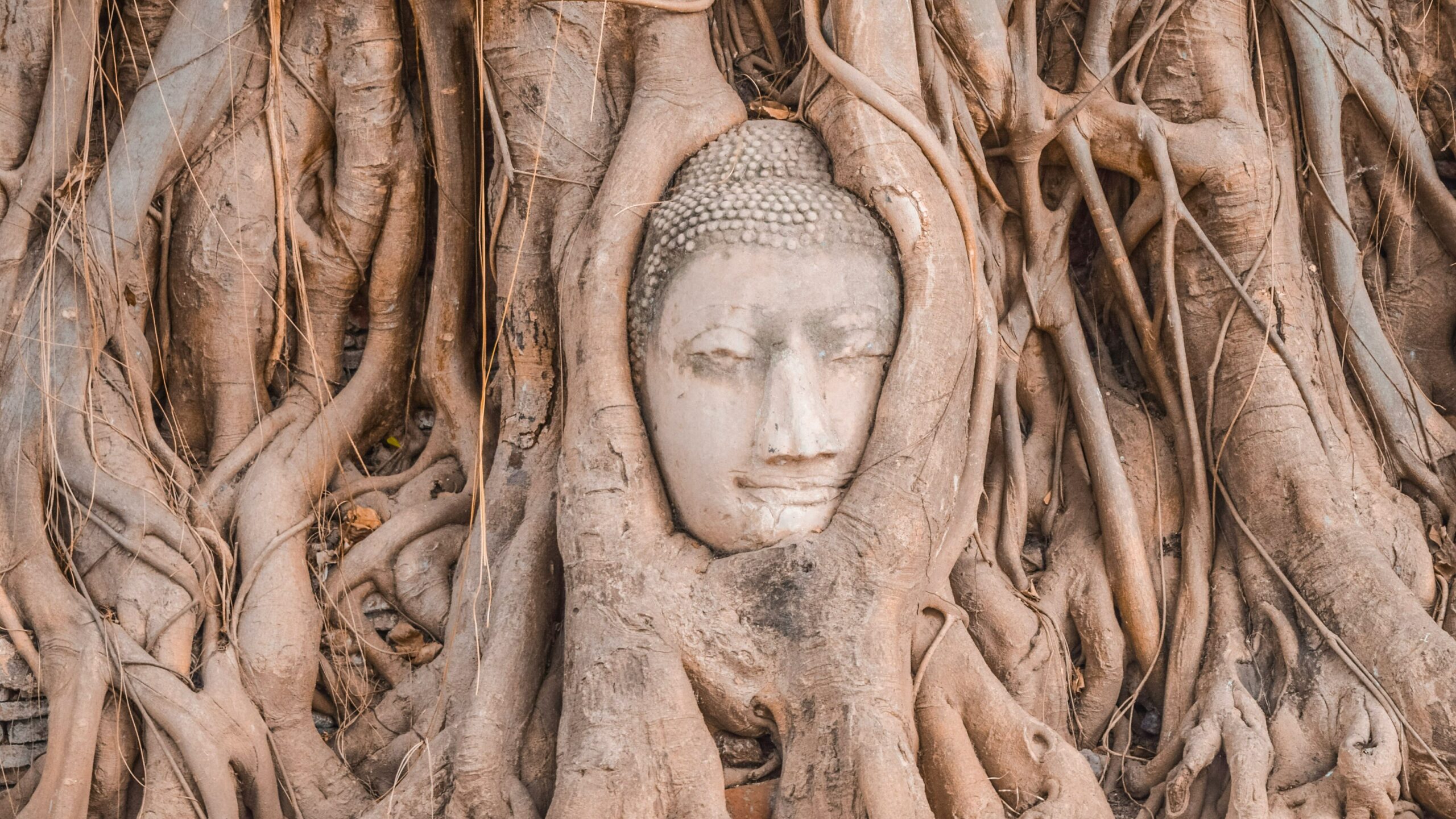 viaggio in thailandia